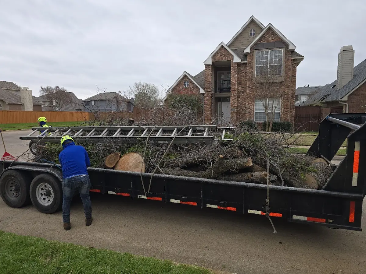 Expert Crown Reduction with proper safety equipment in North Richland Hills